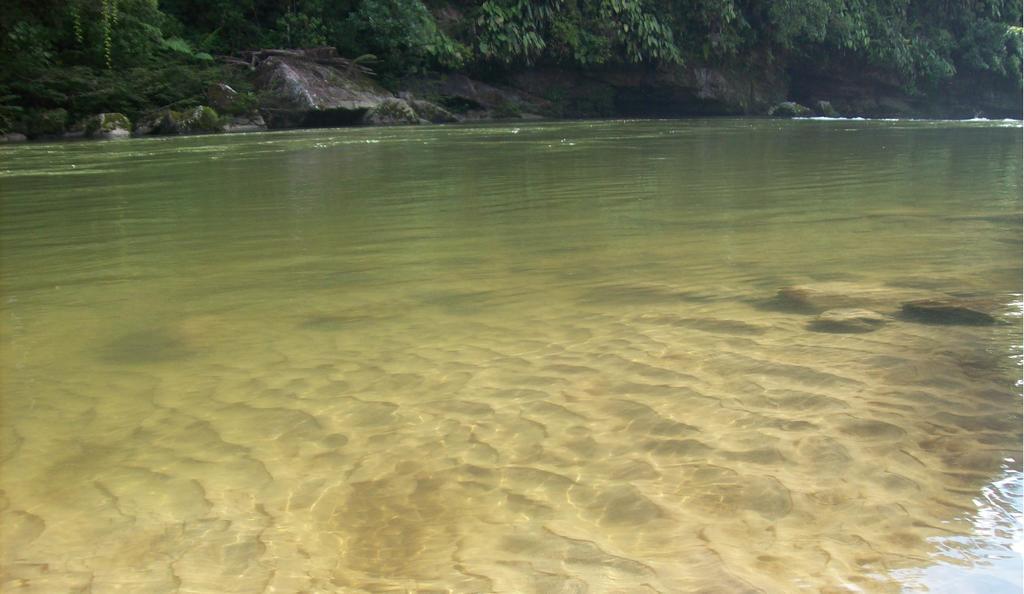 Playaselva Reserva Biologica Archidona Exterior foto