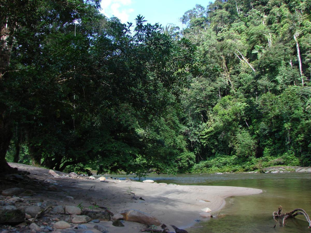 Playaselva Reserva Biologica Archidona Exterior foto